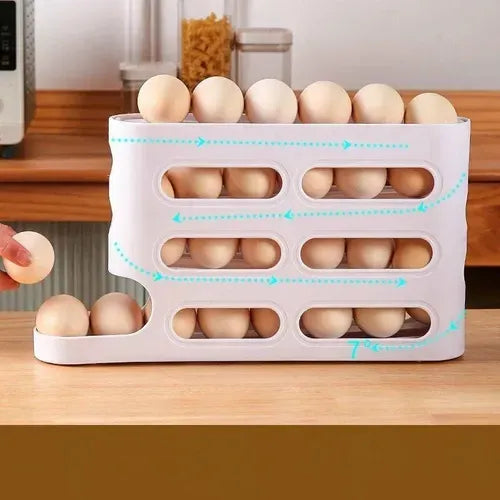 ORGANIZADOR DE HUEVOS