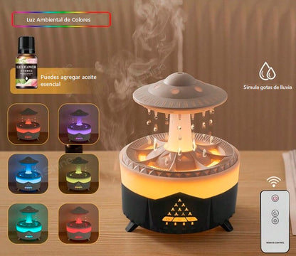 HUMIDIFICADOR HONGO